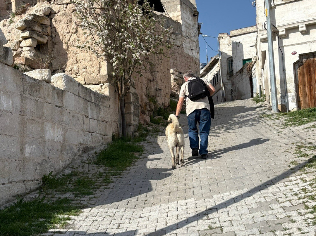 Temren Travel-格雷梅必去景点