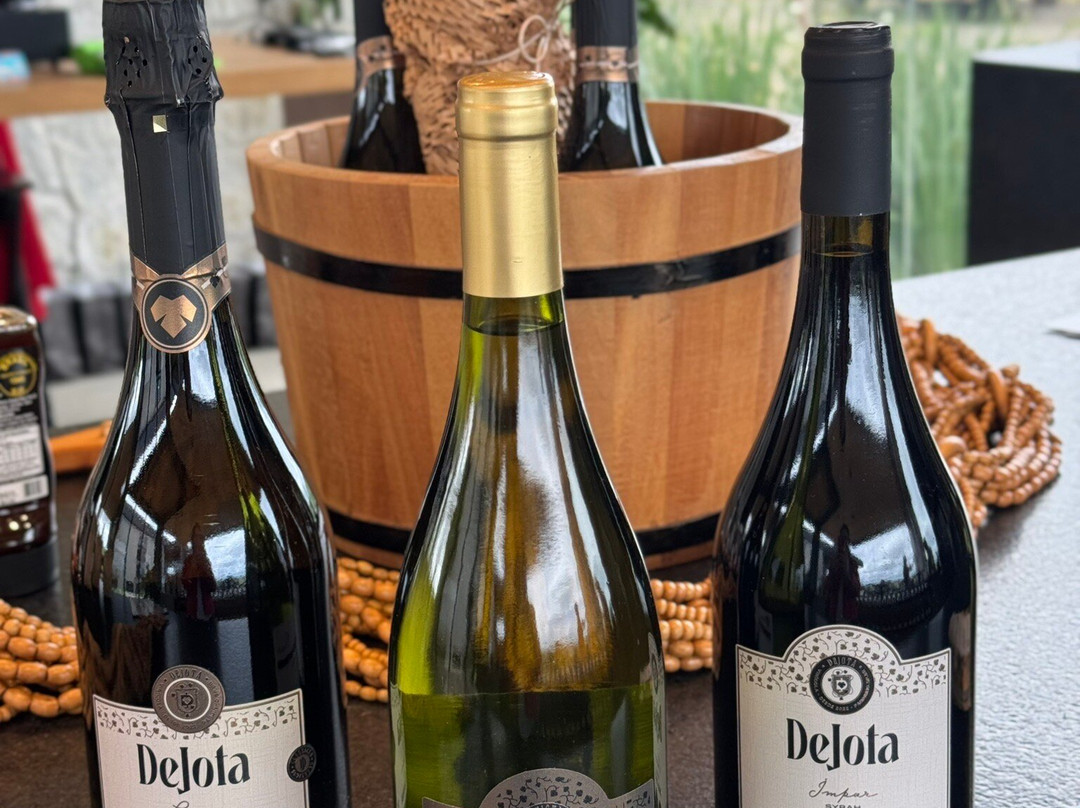 Vinícola Dejota-Pardinho必去景点