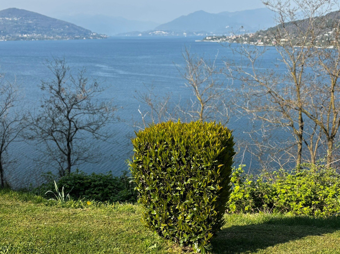 Chiesa di San Carlo景点图片