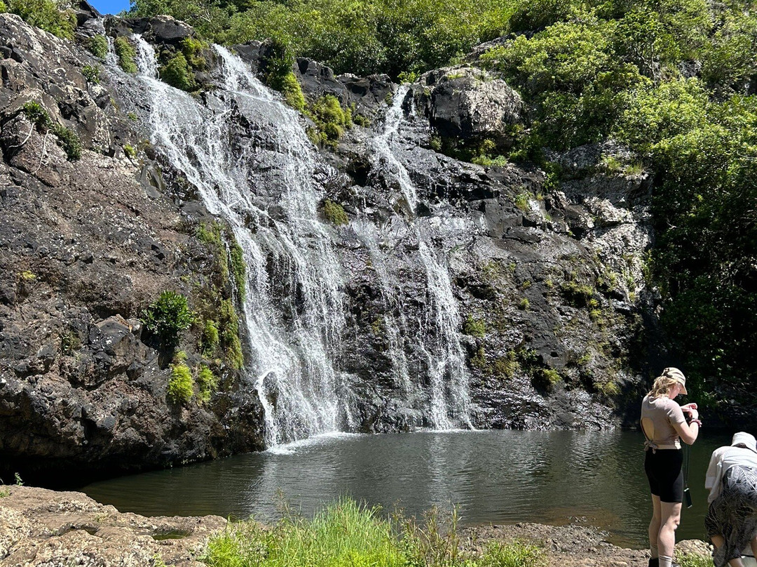 Green Discovery Mauritius - Eco Tourism Mauritius-Henrietta必去景点