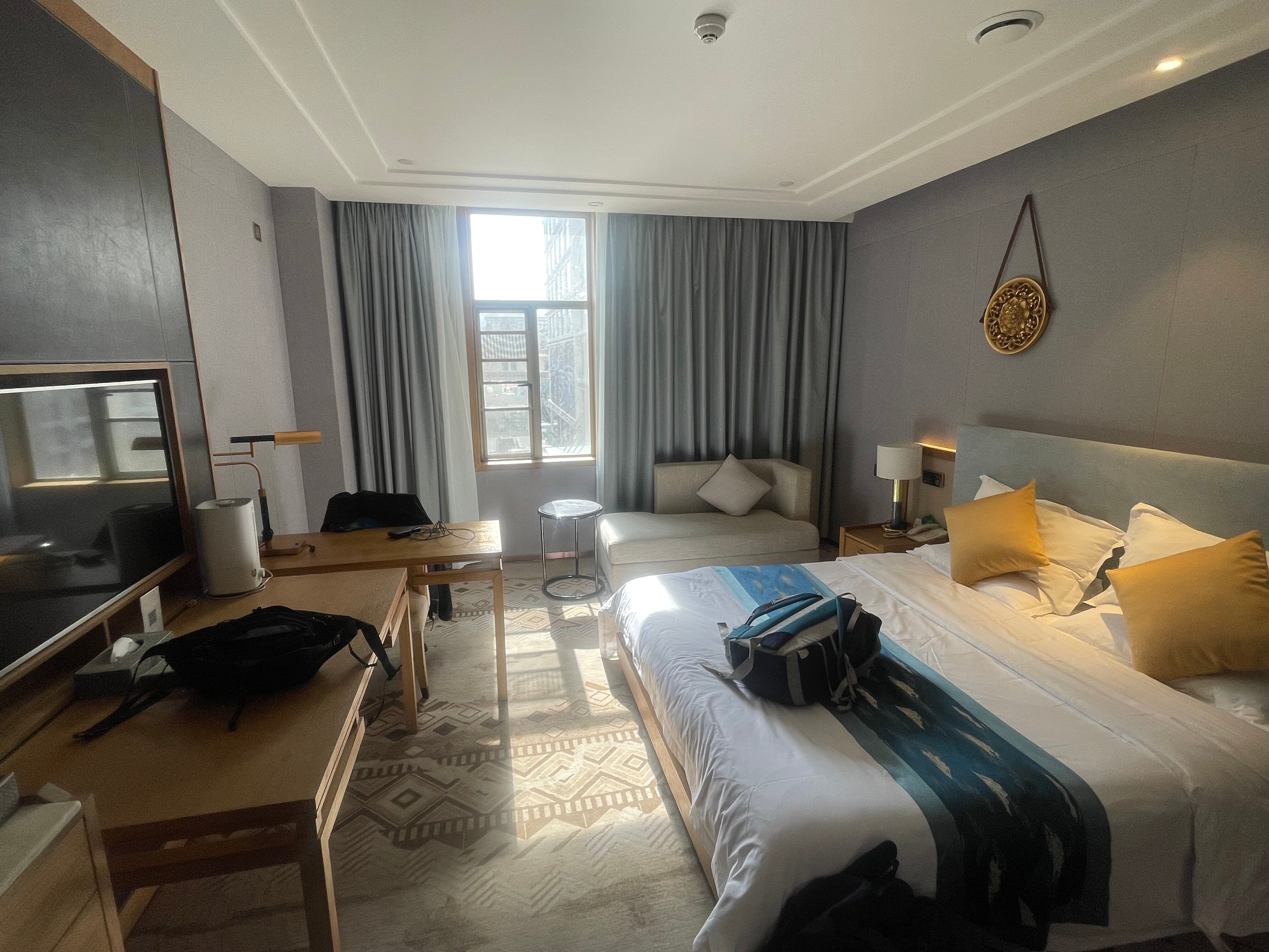 格萨尔大酒店-客卧