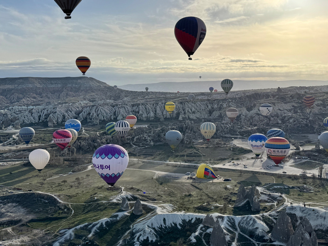 Basuka Travel Agency