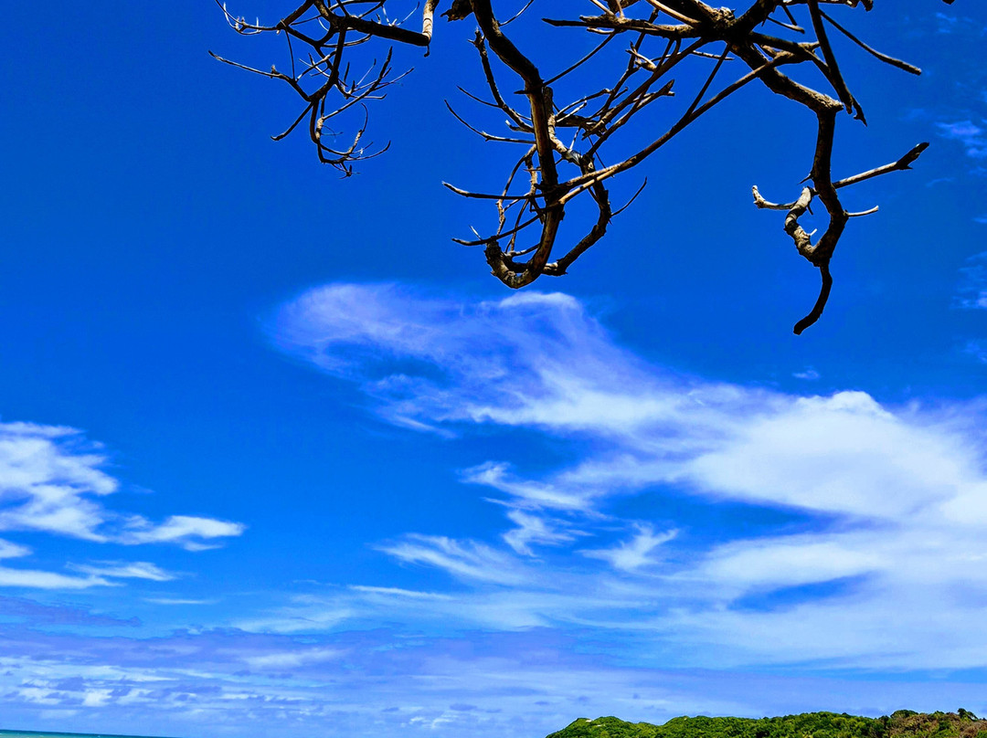 Praia Baía Formosa-Baia Formosa必去景点
