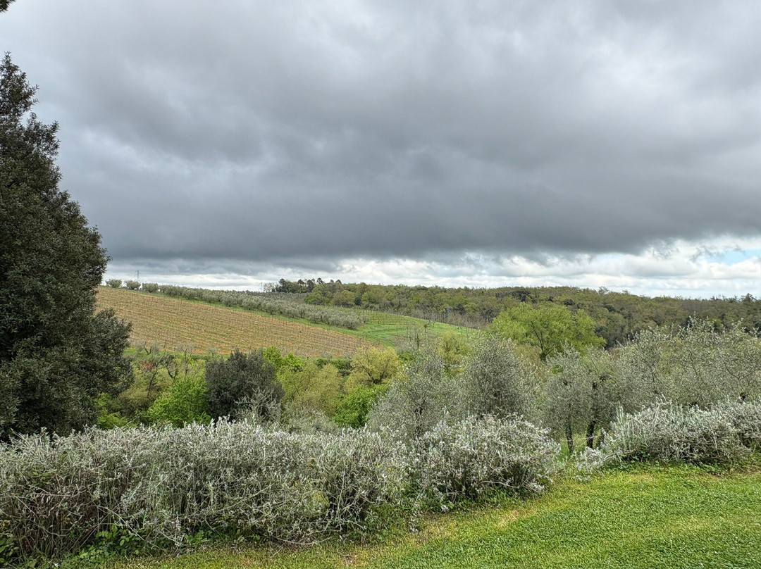 Villa di Geggiano-卡斯德尔诺沃贝拉登卡必去景点