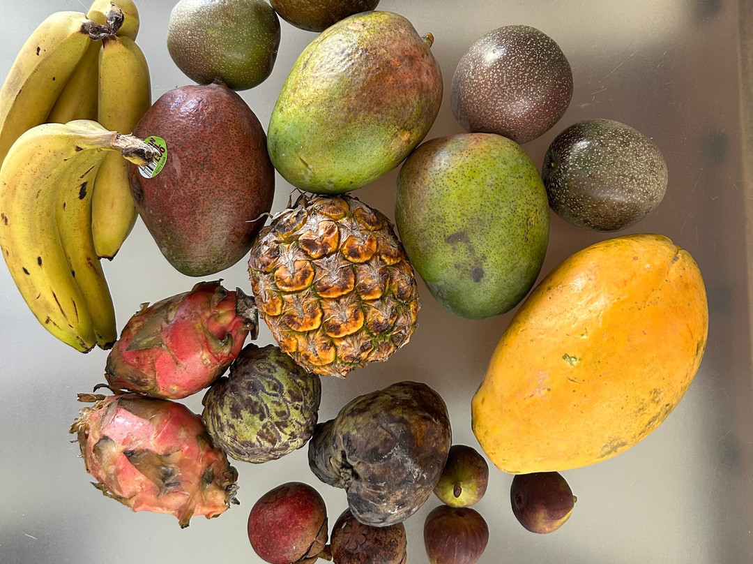 果菜市场-凯恩斯必去景点