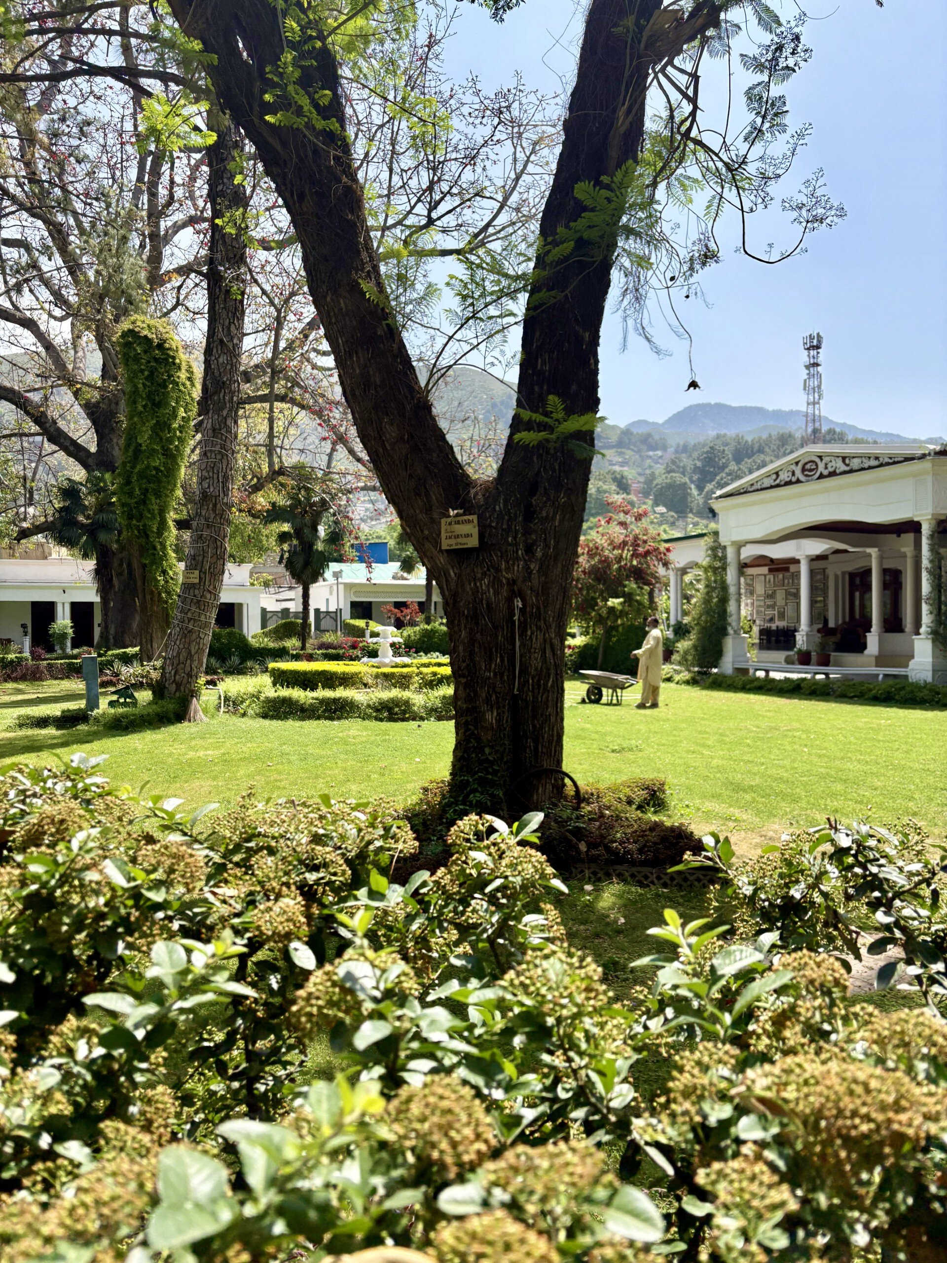 Swat Serena Hotel-官方