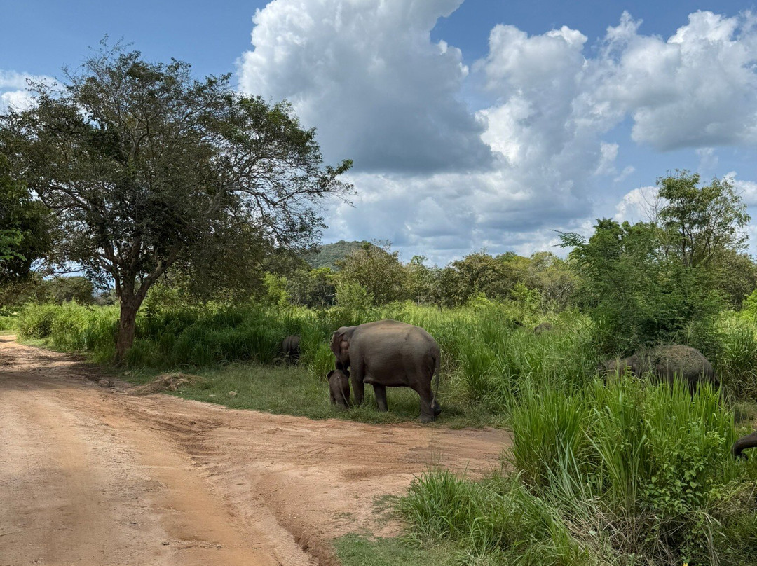 GT Cabs & Tours-卡尔库达必去景点
