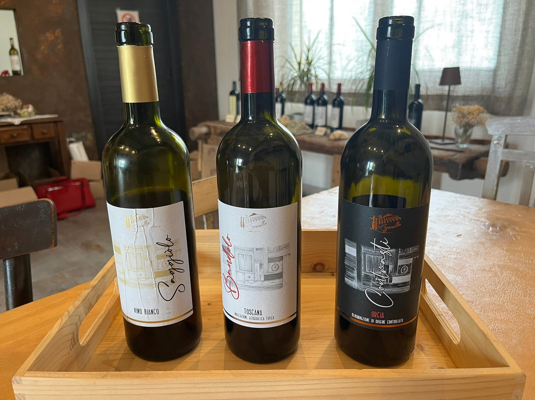 Lignanello Azienda Agricola-皮恩扎必去景点