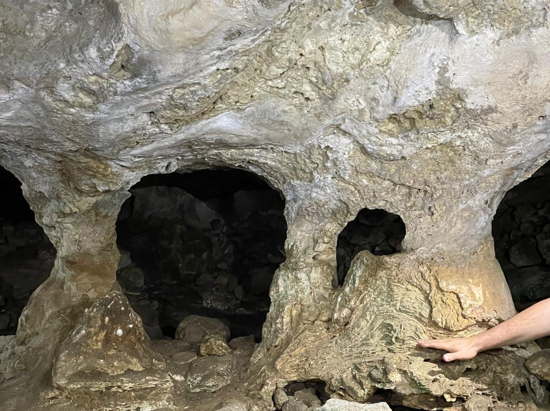Riserva Naturale Grotta di Carburangeli景点图片