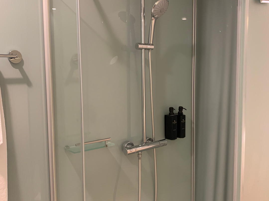 Maxima Domodedovo Airport Hotel主图