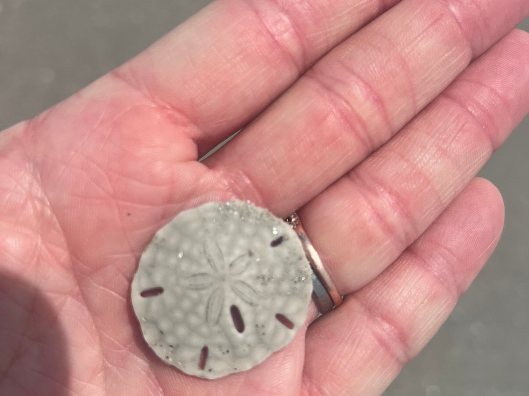 Amelia Island Kayak Excursions-费尔南迪纳岛必去景点