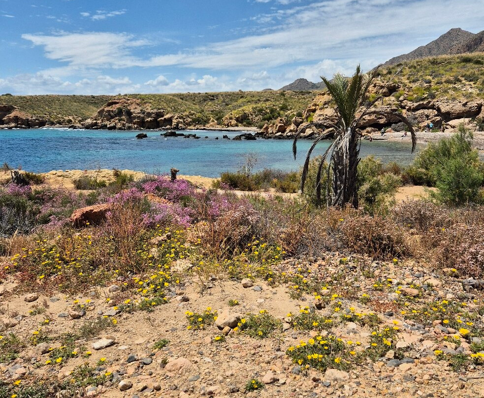 Ecoadventure Bolnuevo-Bolnuevo必去景点