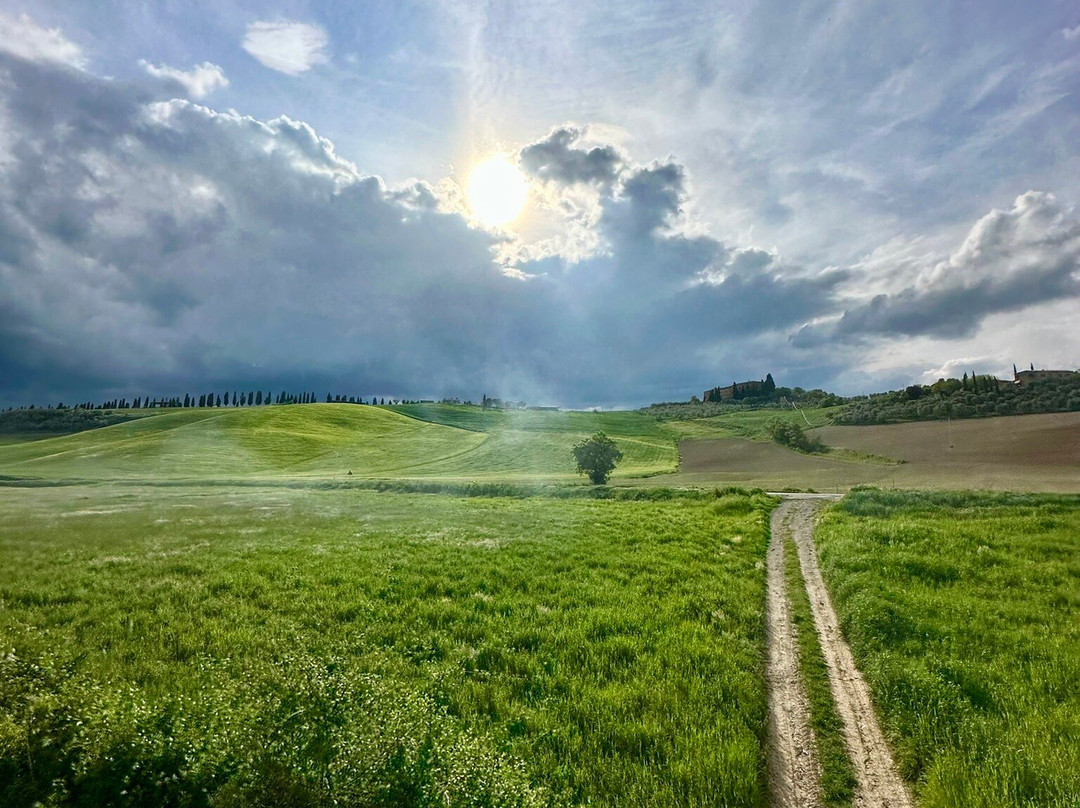 Nature Train Tour-锡耶纳必去景点