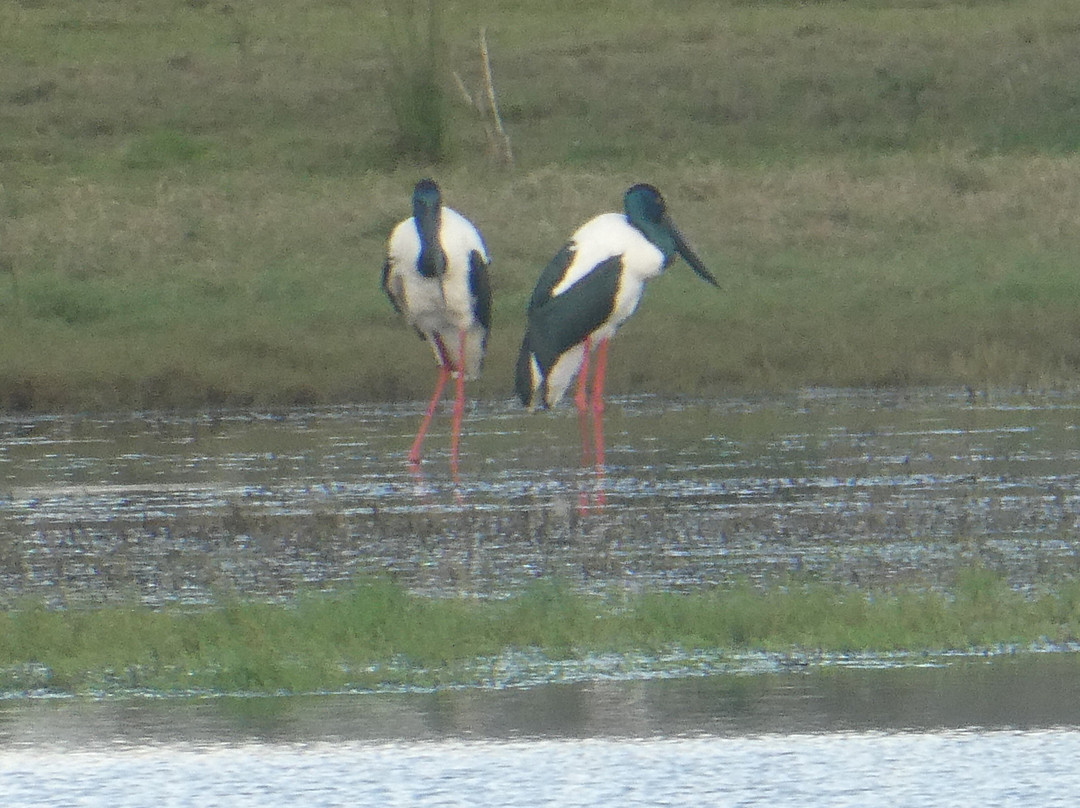 Araucaria Ecotours - Day Tours-Rathdowney必去景点