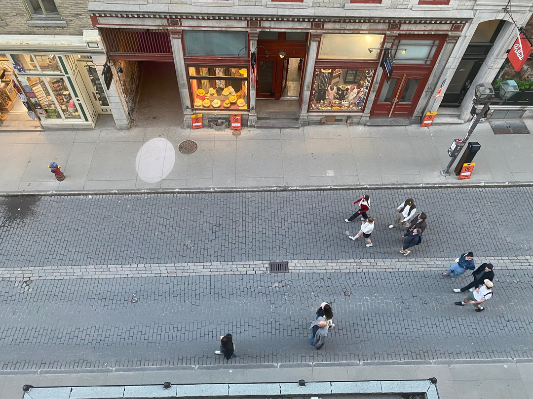 维多利亚庄园酒店主图