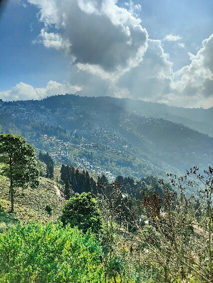 Happy Valley Tea Estate-大吉岭必去景点