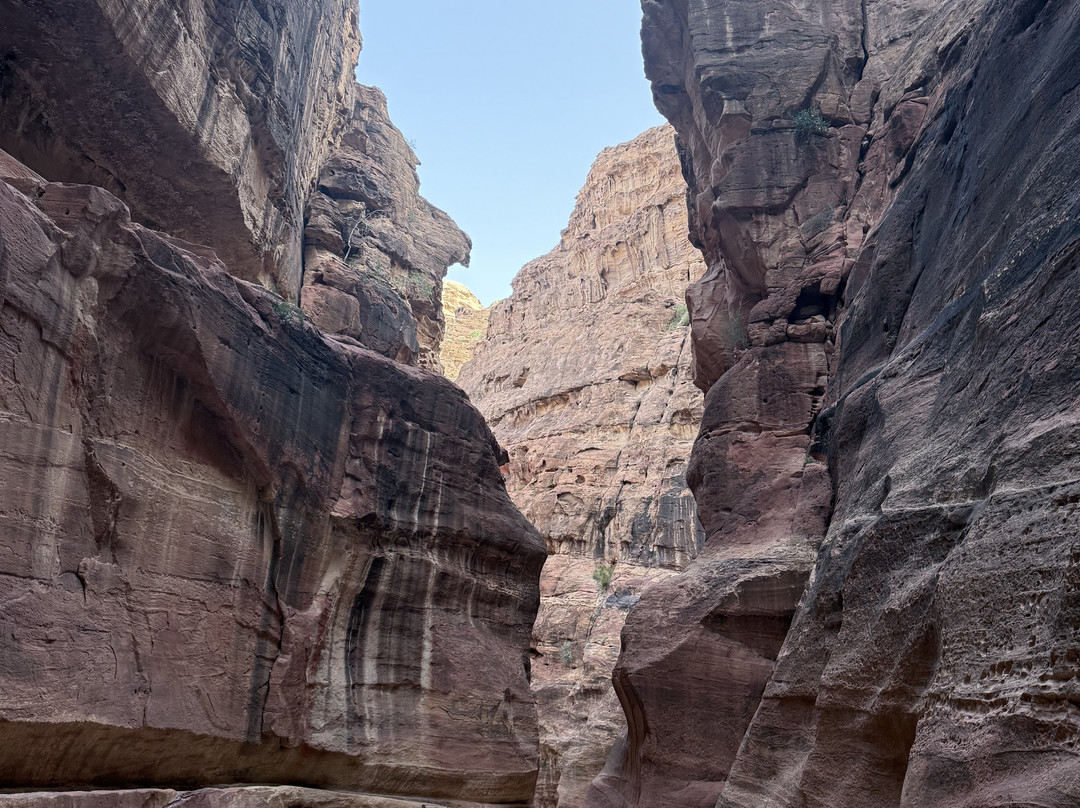 Jordan Inspiration Tours-佩特拉必去景点