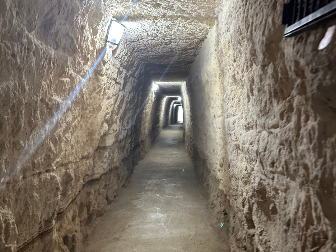 David's Coachtrips-托雷维耶哈必去景点