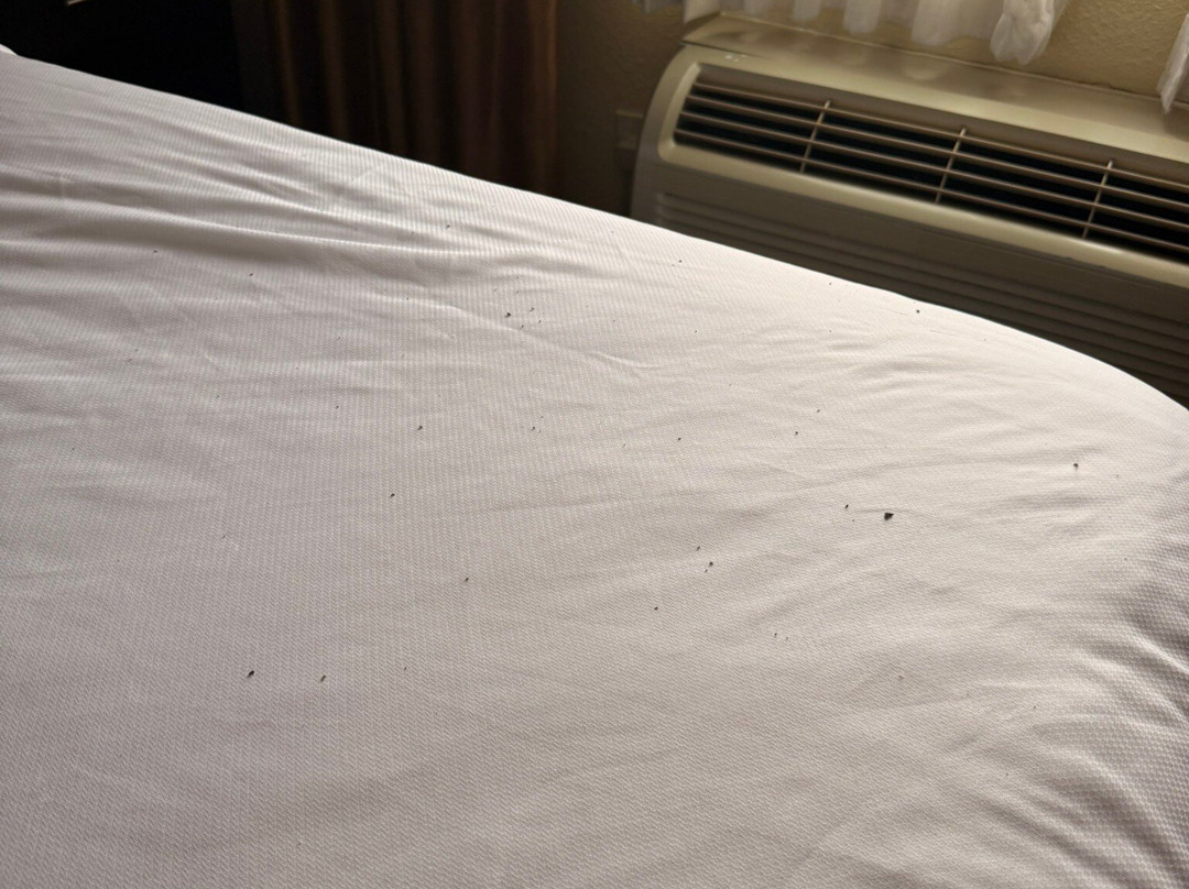 Quality Inn & Suites主图