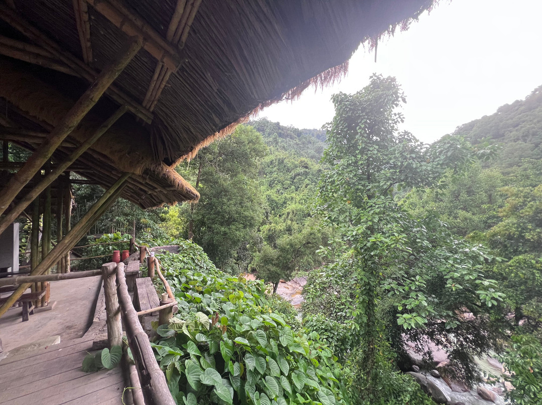 Kong Forest-Suoi Cat必去景点