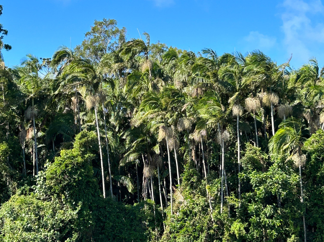 Tweed Escapes-Tweed Heads South必去景点