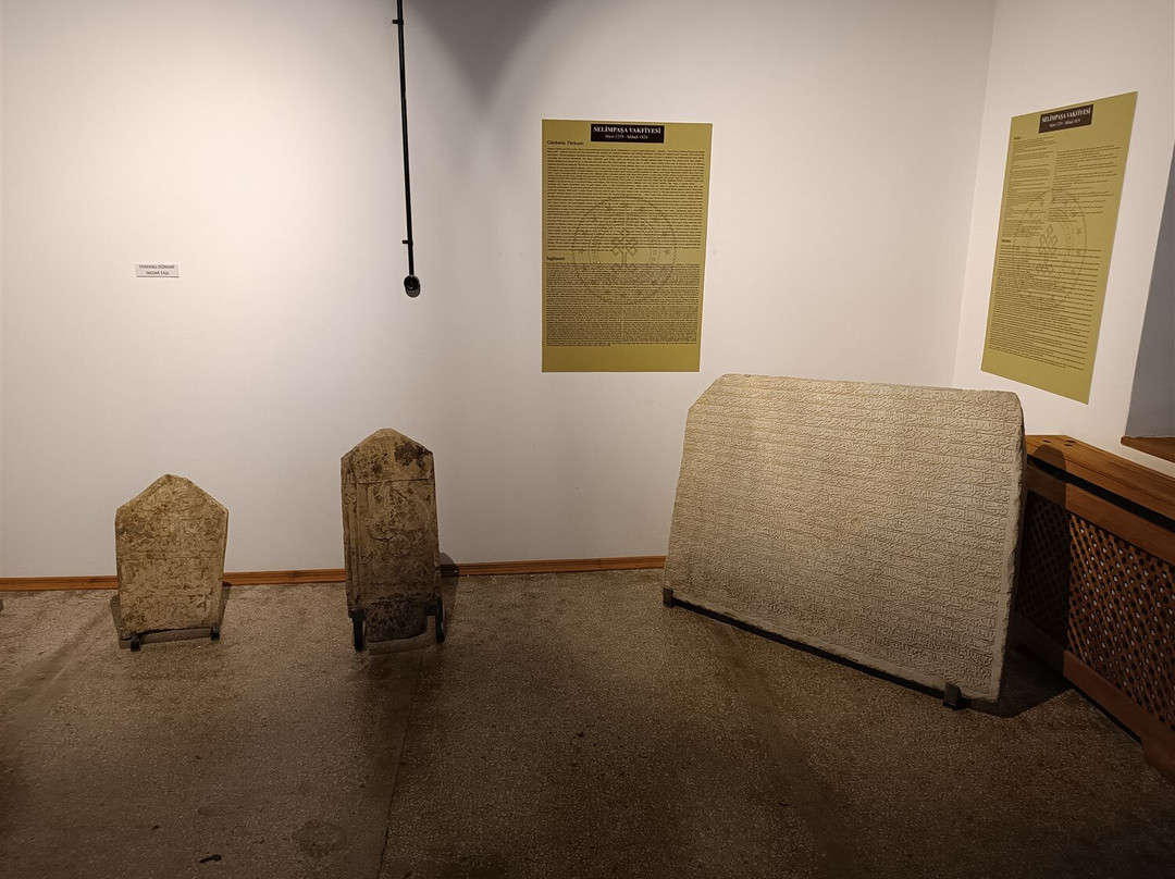Mus Museum景点图片