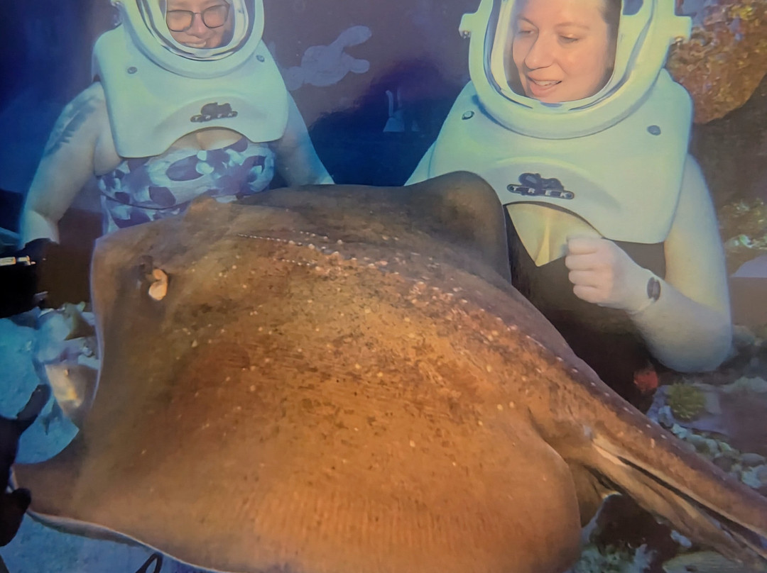 互动式水族馆景点图片