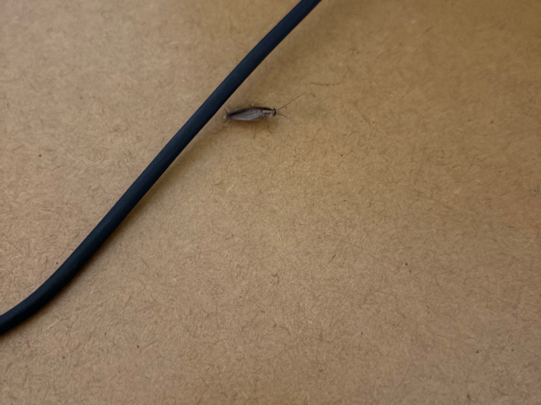 宜必思尚品杰拉尔顿酒店主图