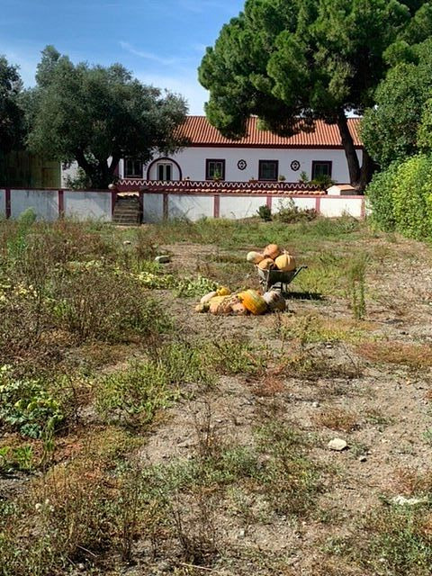 Monte da Floresta B&B主图