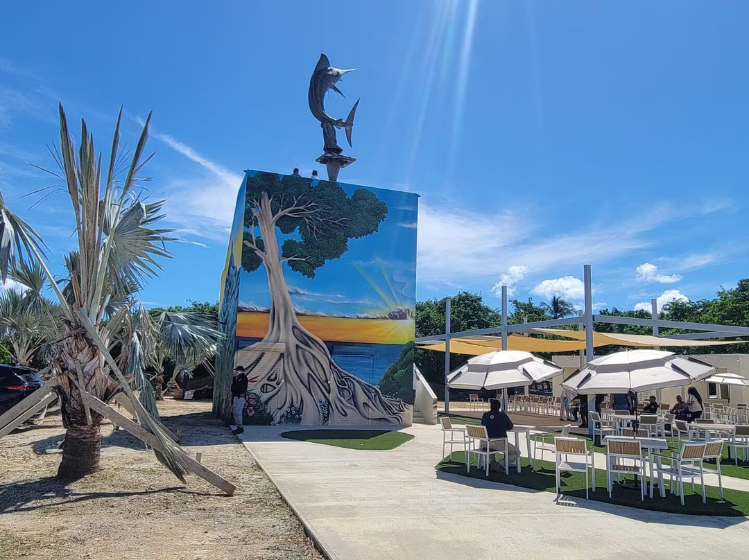 Playa Los Machos-Ceiba必去景点