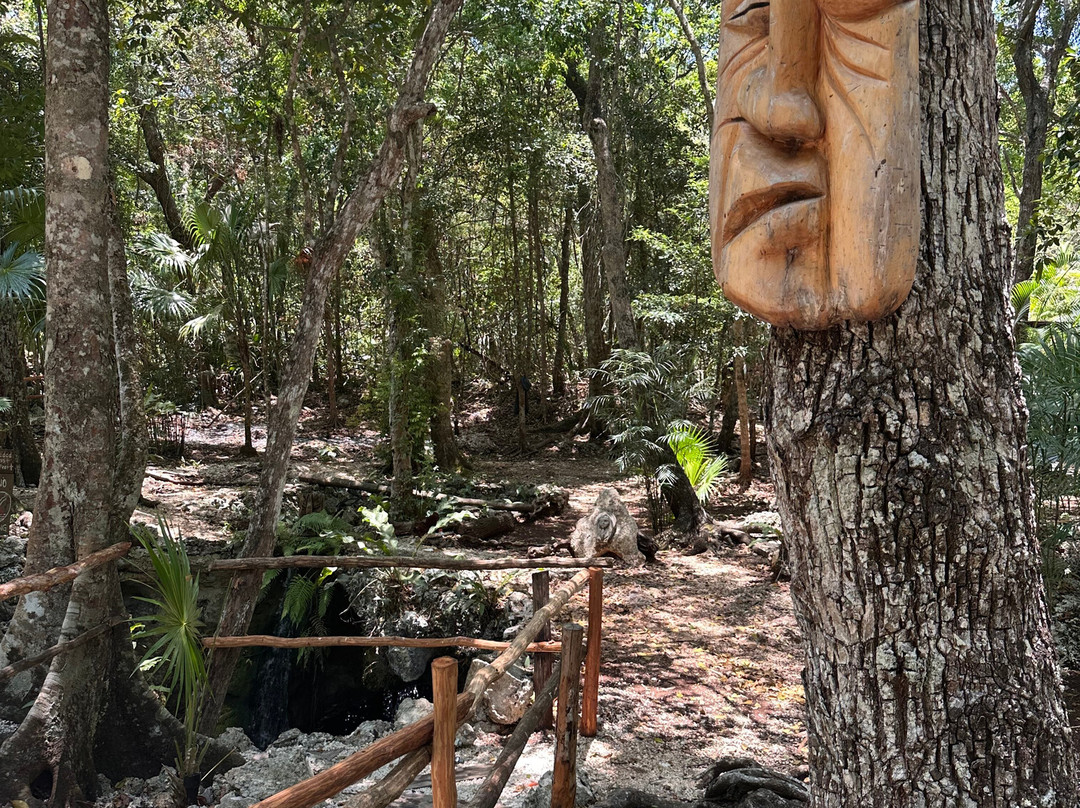 Cenote Elvira - Nature Sanctuary-从莫雷洛斯港必去景点