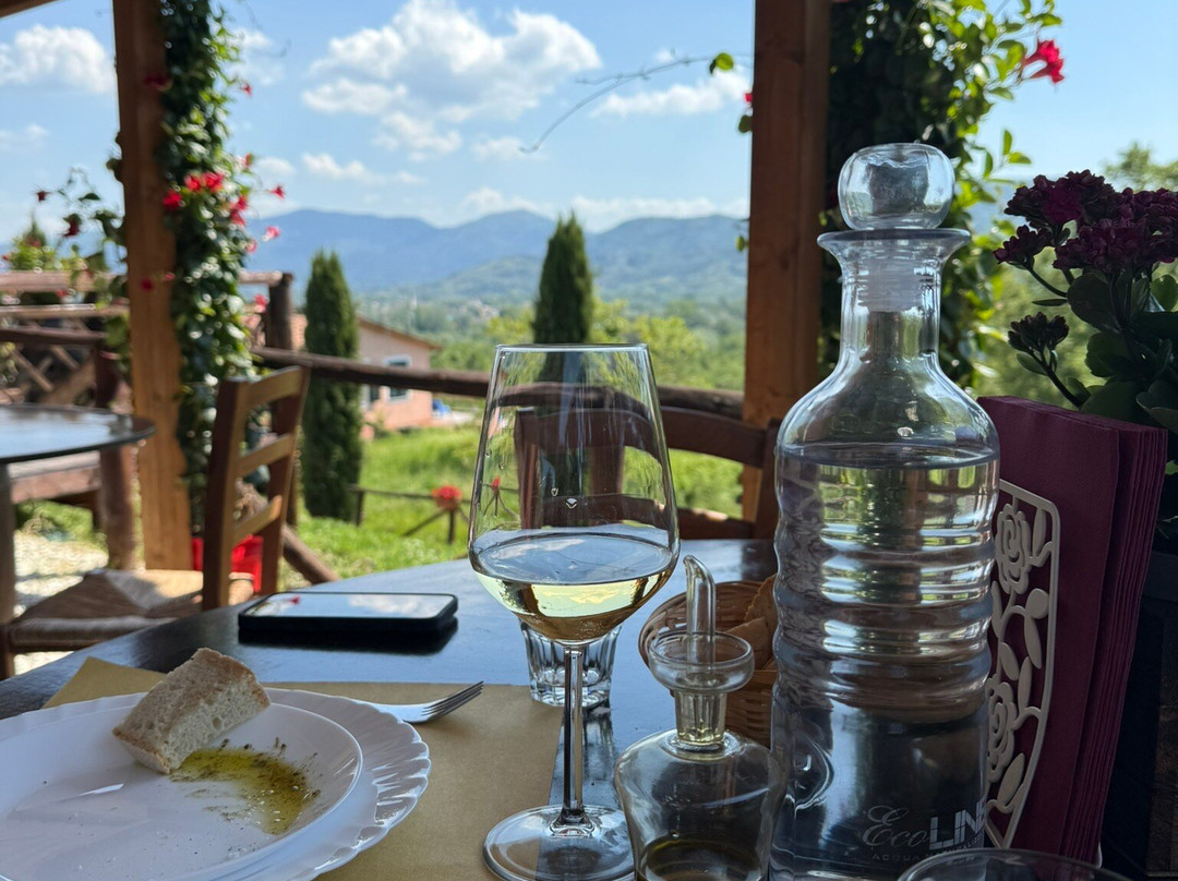 Fattoria Al Dotto景点图片