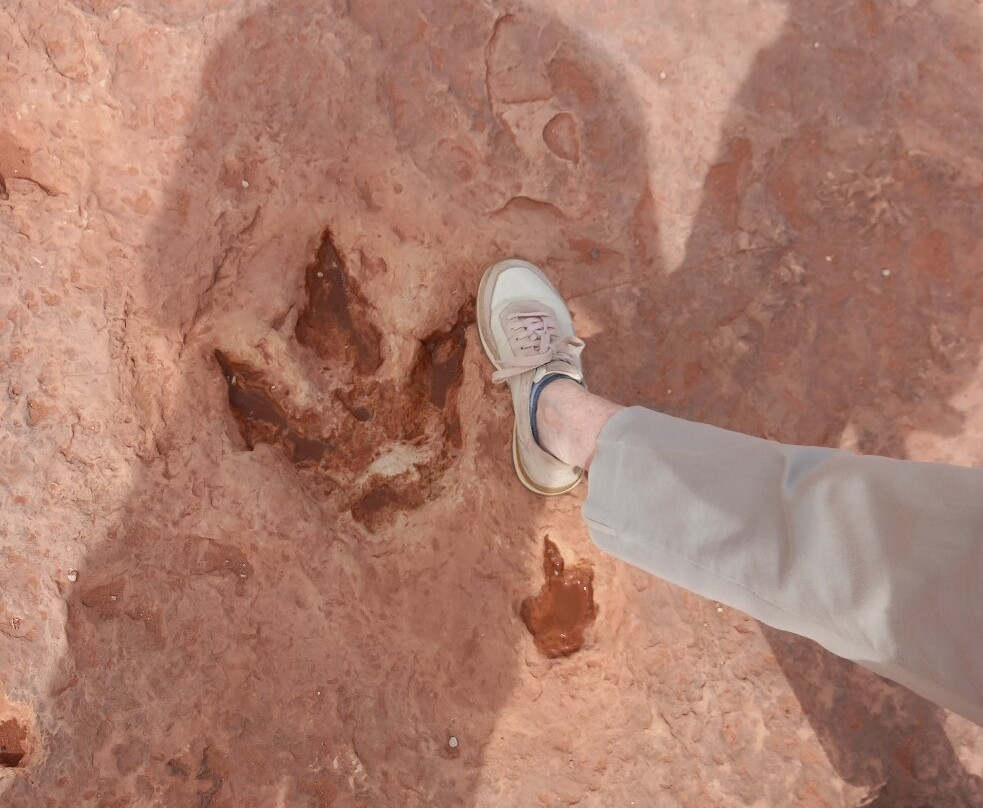 Dinosaur Tracks-蒂巴城必去景点