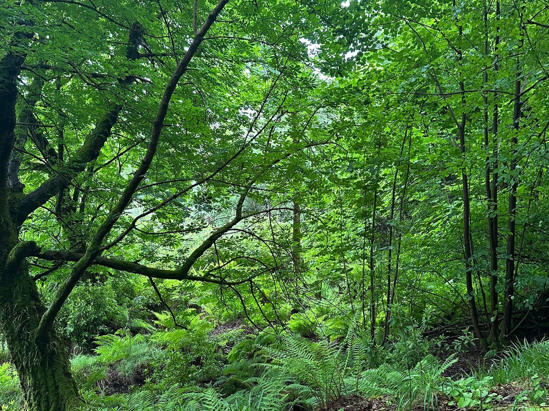 Mount Stuart景点图片