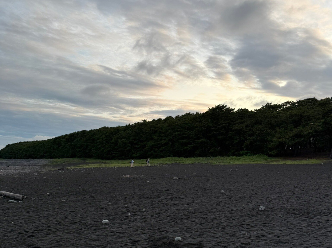 三保海岸（三保之松原海滩）景点图片