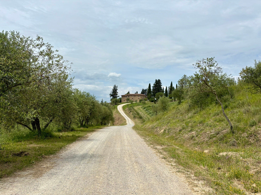 Tuscany Bicycle景点图片