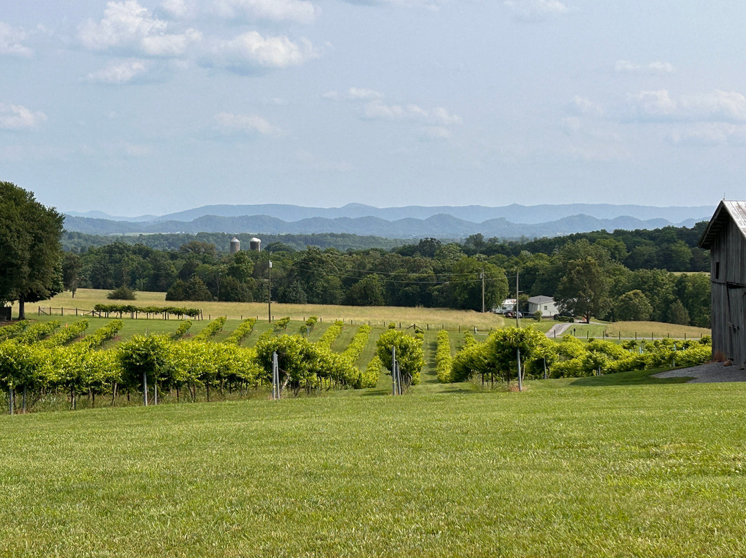 Tsali Notch Vineyard-Madisonville必去景点