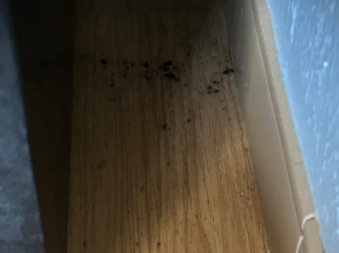 Best Western Port Aransas主图