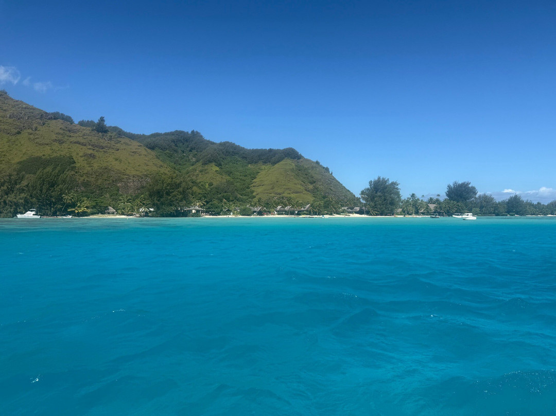 Moorea Explorer-马哈雷帕必去景点