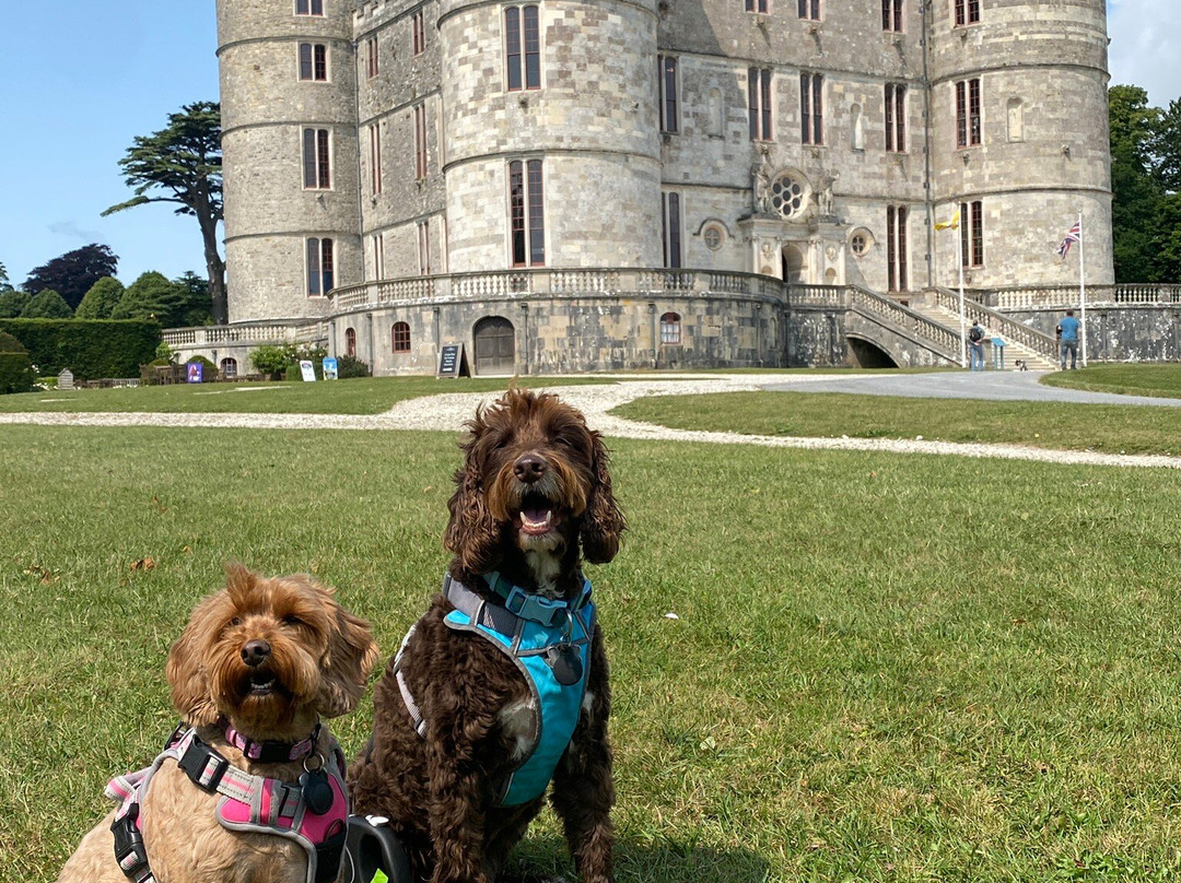 Lulworth Castle & Park景点图片