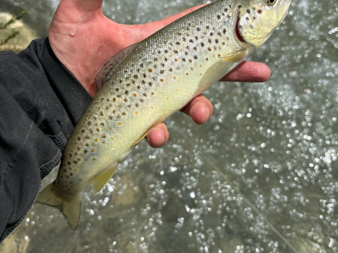 Riviera fly-fishing景点图片