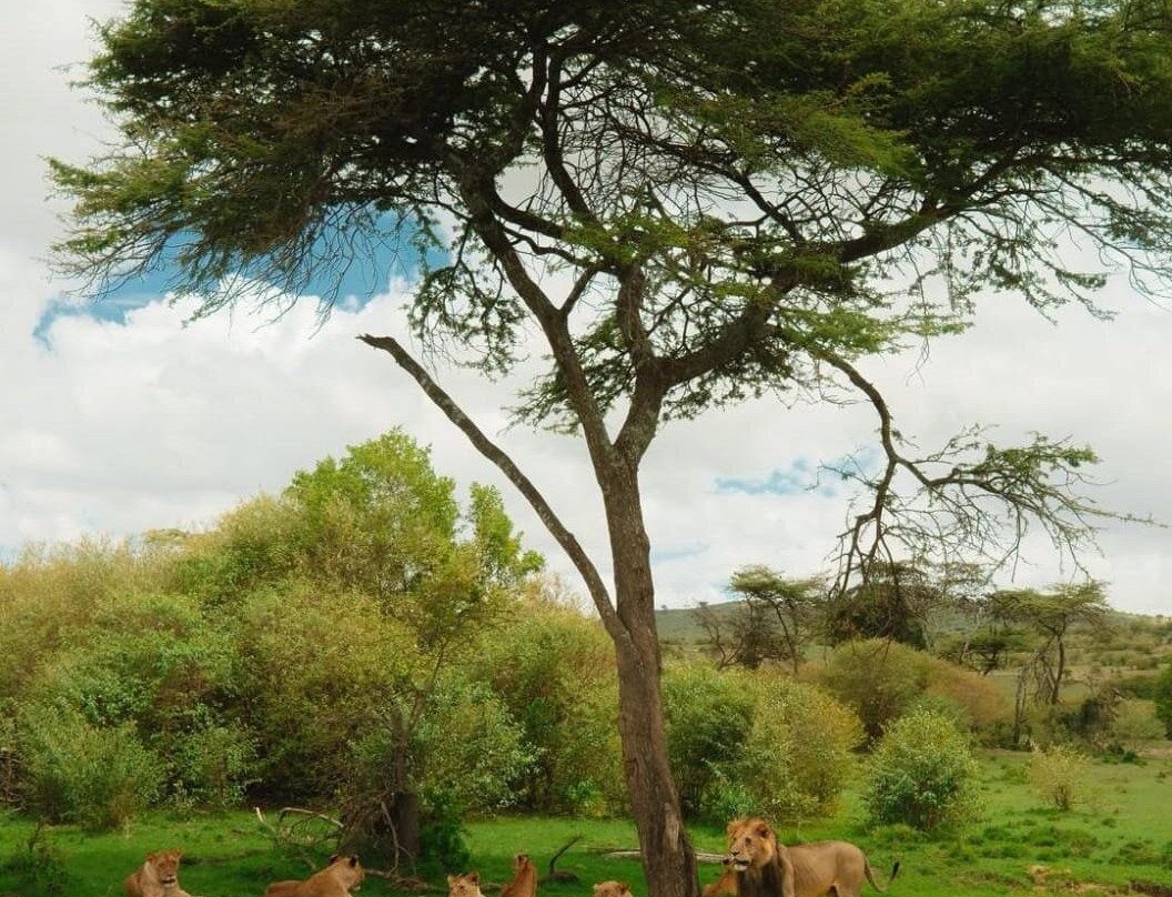 Besh African Adventures景点图片