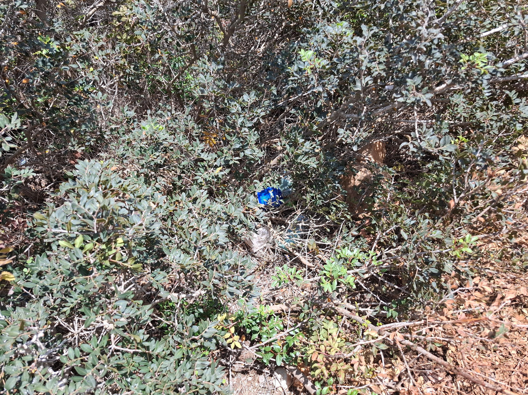 Pykni Picnic Site-卡西卡斯必去景点