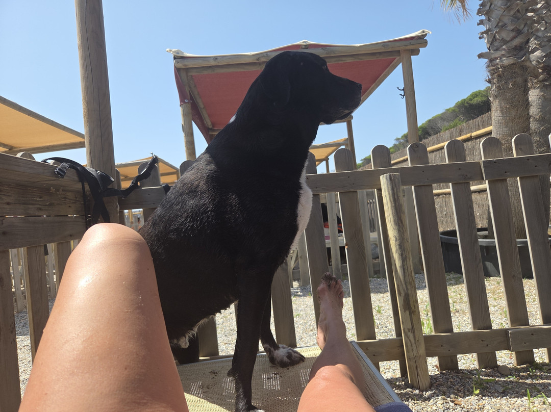 Bau Beach Le Gorette景点图片