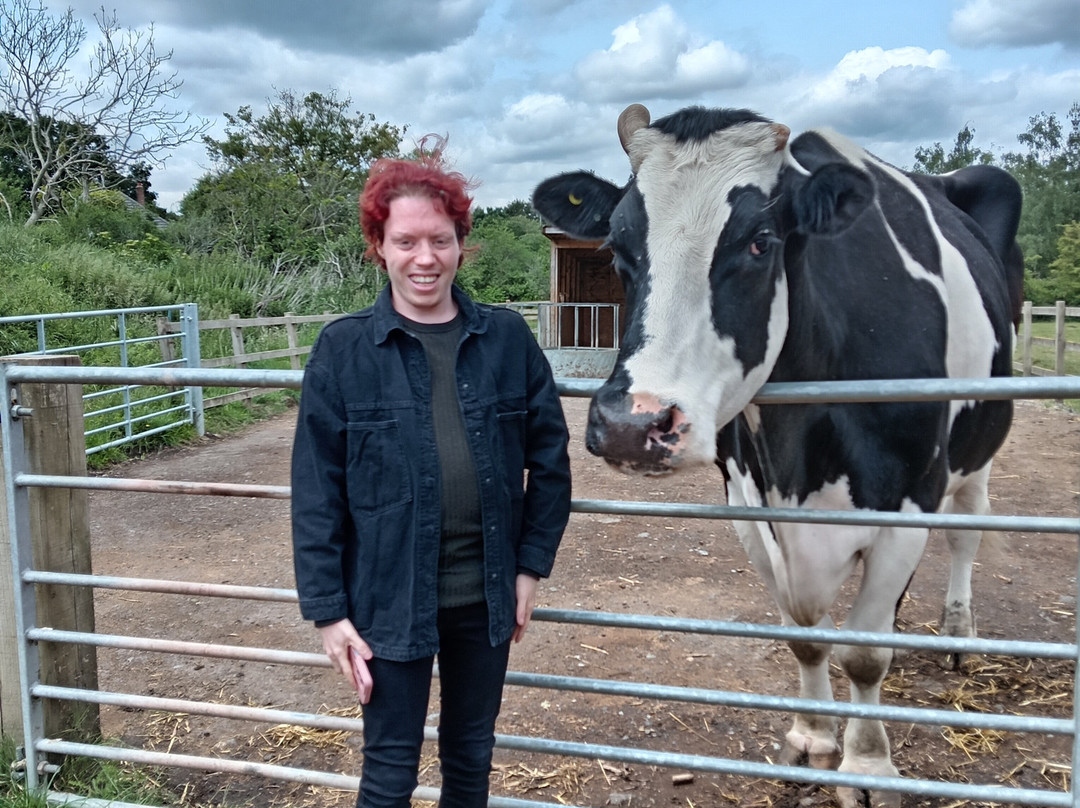 Hopefield Animal Sanctuary & Visitor Centre景点图片