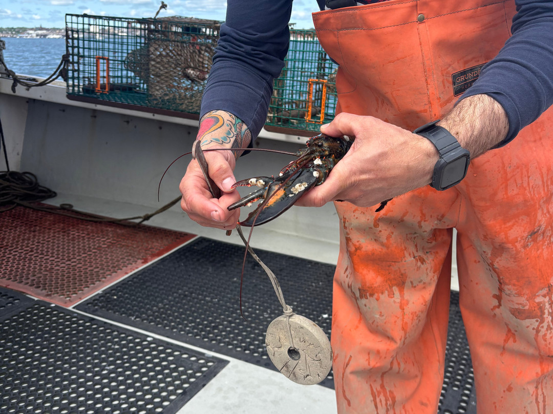 Lucky Catch Cruises-波特兰必去景点