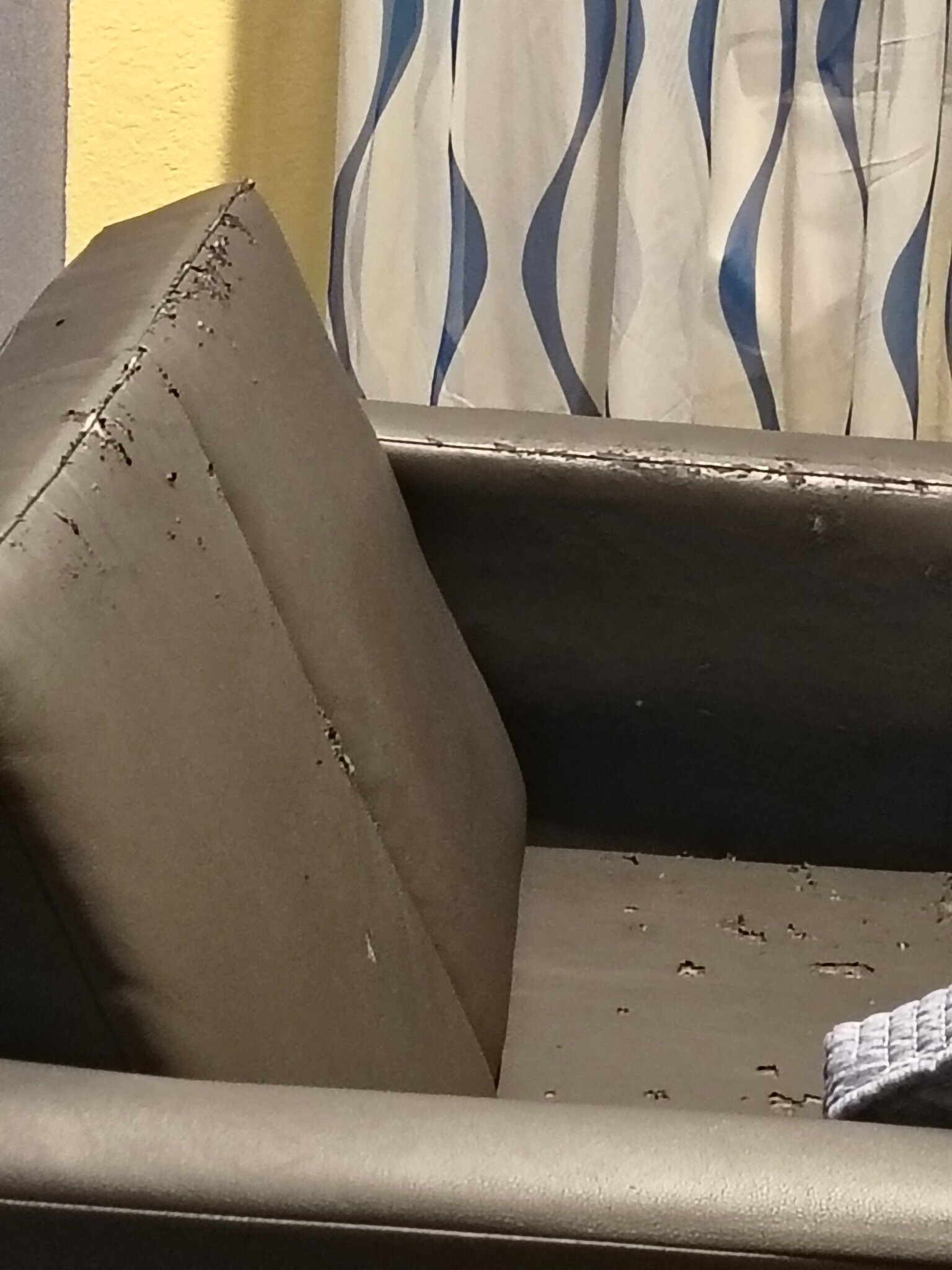 Days Inn by Wyndham Freeport-官方