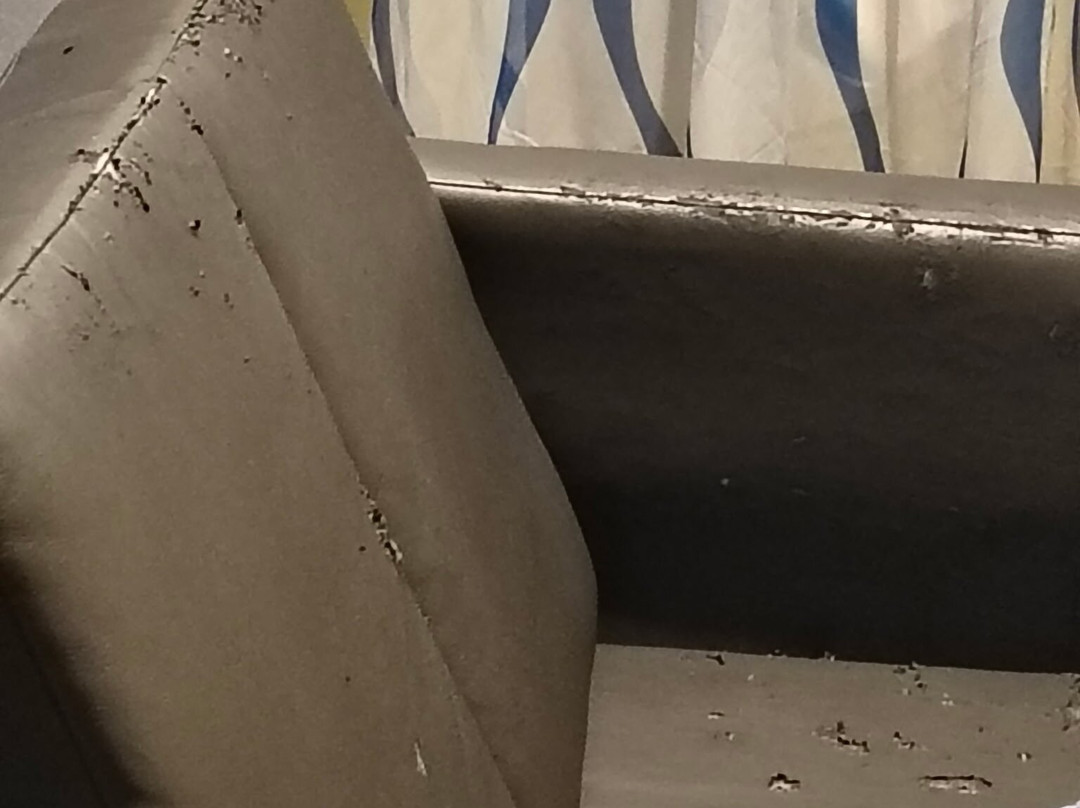 Days Inn by Wyndham Freeport主图