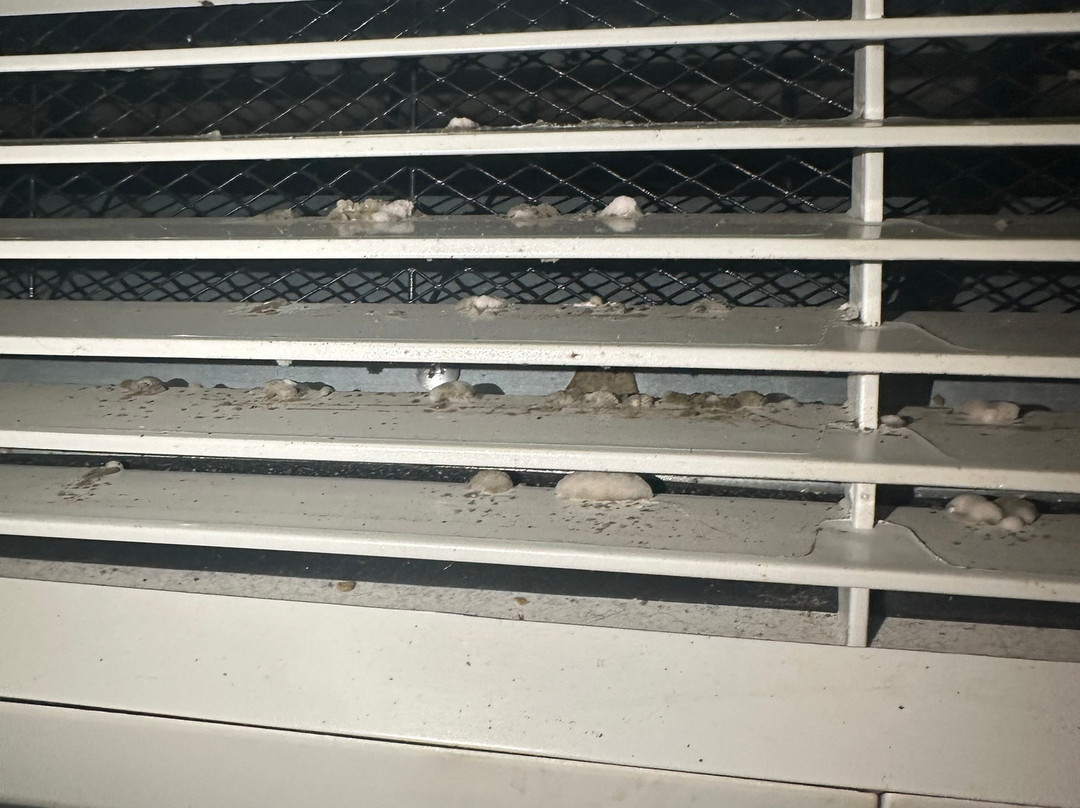 Baymont by Wyndham Cornelia主图