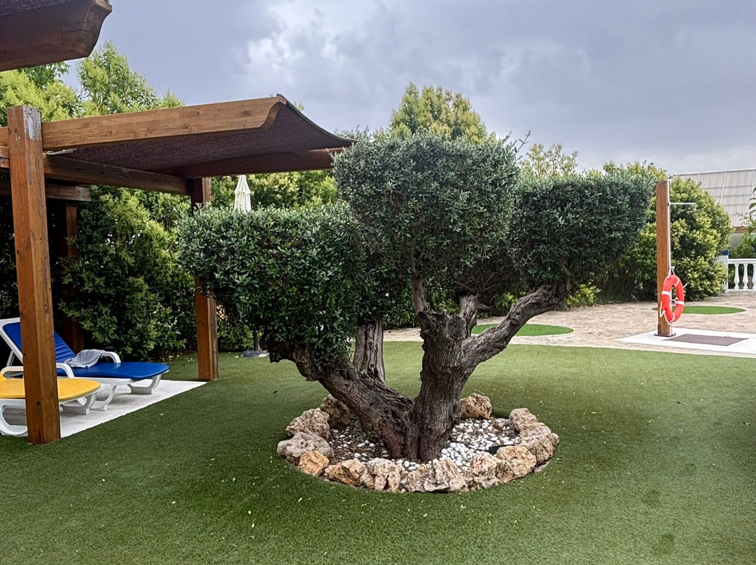 Olívale Hotel Rural